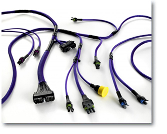 Custom Cable Assemblies